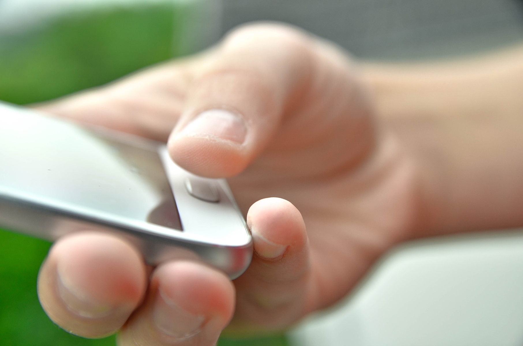 person holding cell phone